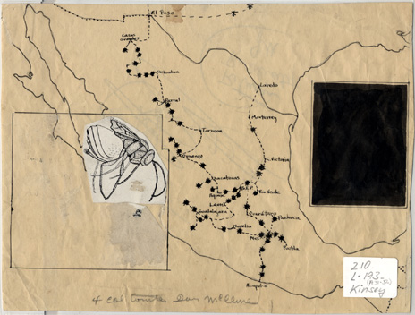 Map shows most of Mexico and southern Texas, with stops marked. Two squares are on the page. The righthand one is solid black, the lefthand one has a drawing of a gall wasp pasted in it.