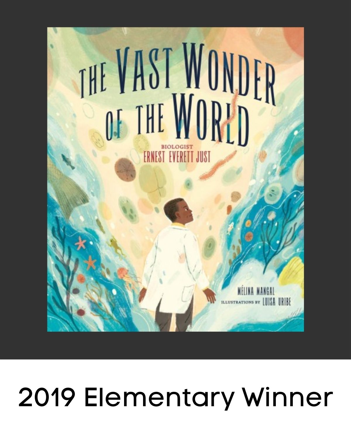The Vast Wonder of the World book cover