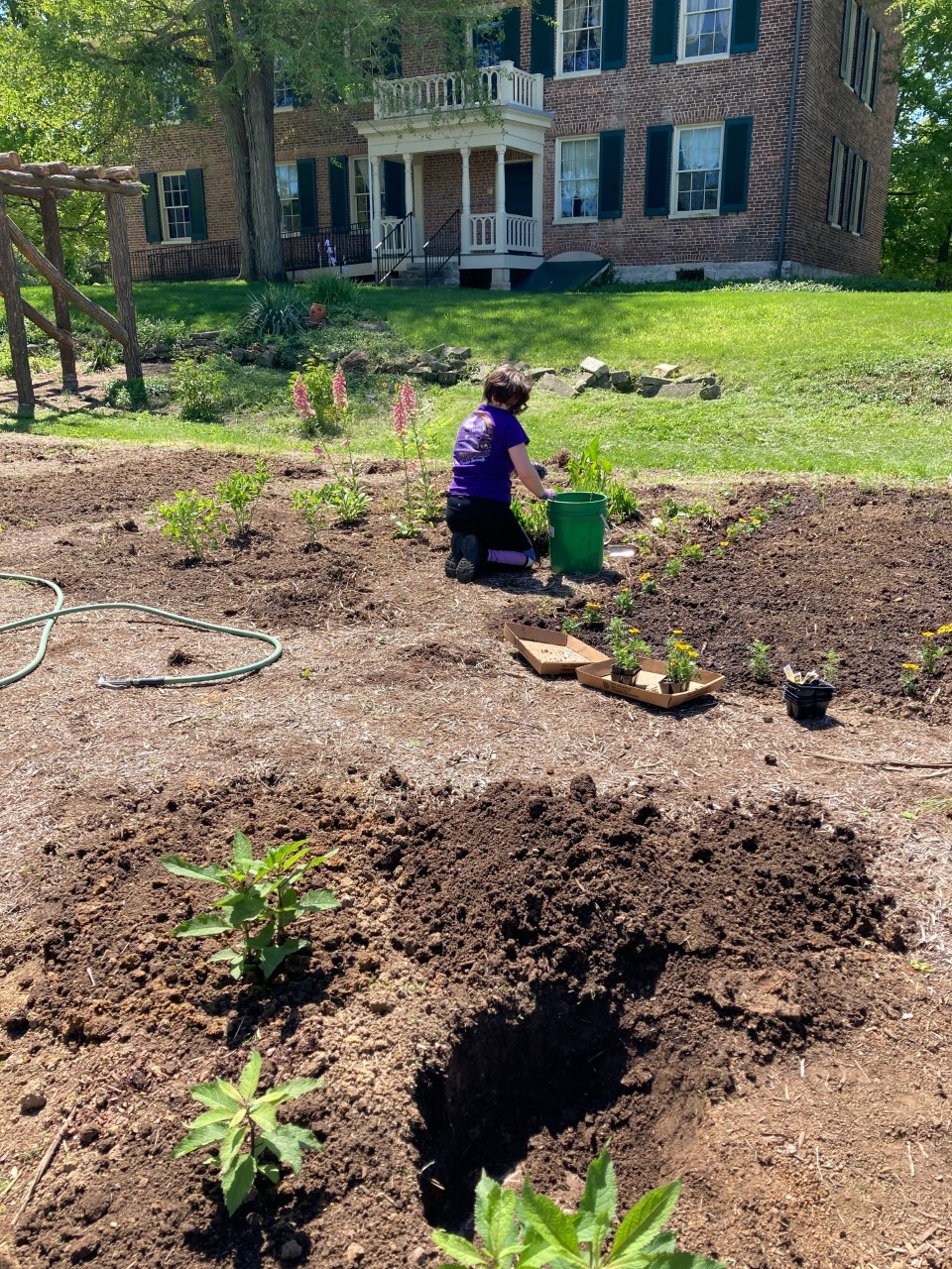 Outdoor dirt garden beds and a woman sitting on ground, working in a bed