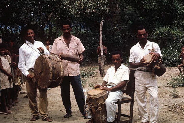 Four men known as a conjunto de caña de millo hold their drums in an area of barren ground and lush vegetation.