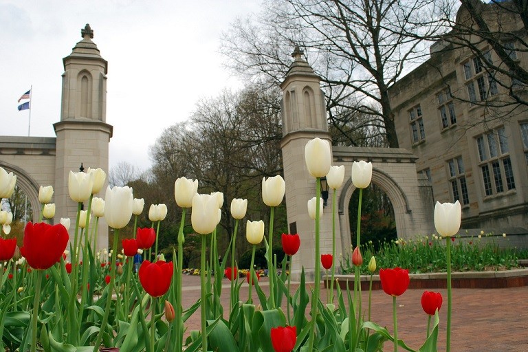 IU's Sample Gates with tulips in foreground, by Owen Parrish on flickr