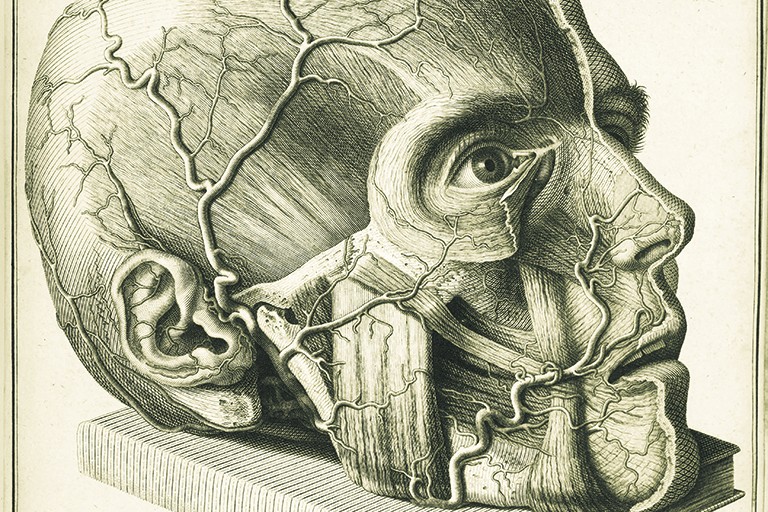 Image from a historical text showing a human head.