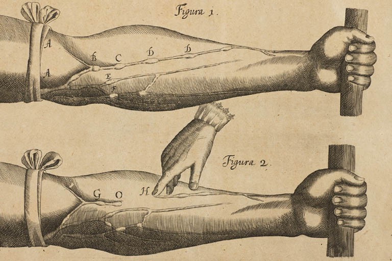 Woodcut print of two forearms, showing experiments on the circulation of the blood.