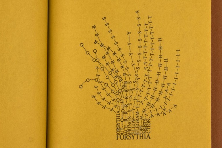 The word "forsythia" serves as a base for numerous branches stretching upwards. Those branches are made from the letters in the word "forsythia" and their equivalents in Morse Code.