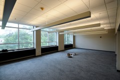 An empty, carpeted room is lit by a wall of windows and overhead fixtures. 