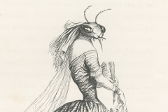 A black and white illustration shows an insect wearing a veil, dress and gloves.