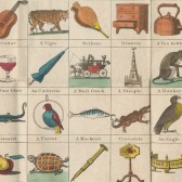 A printed and hand-colored picture sheet showing various animals and everyday objects.